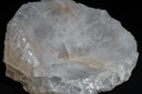 LUMINA