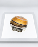 Clarissa Zebra Onyx Bowl
